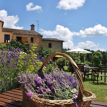 Agriturismo Monterosello ชิตตา ดิ กัสเตลโล ภายนอก รูปภาพ