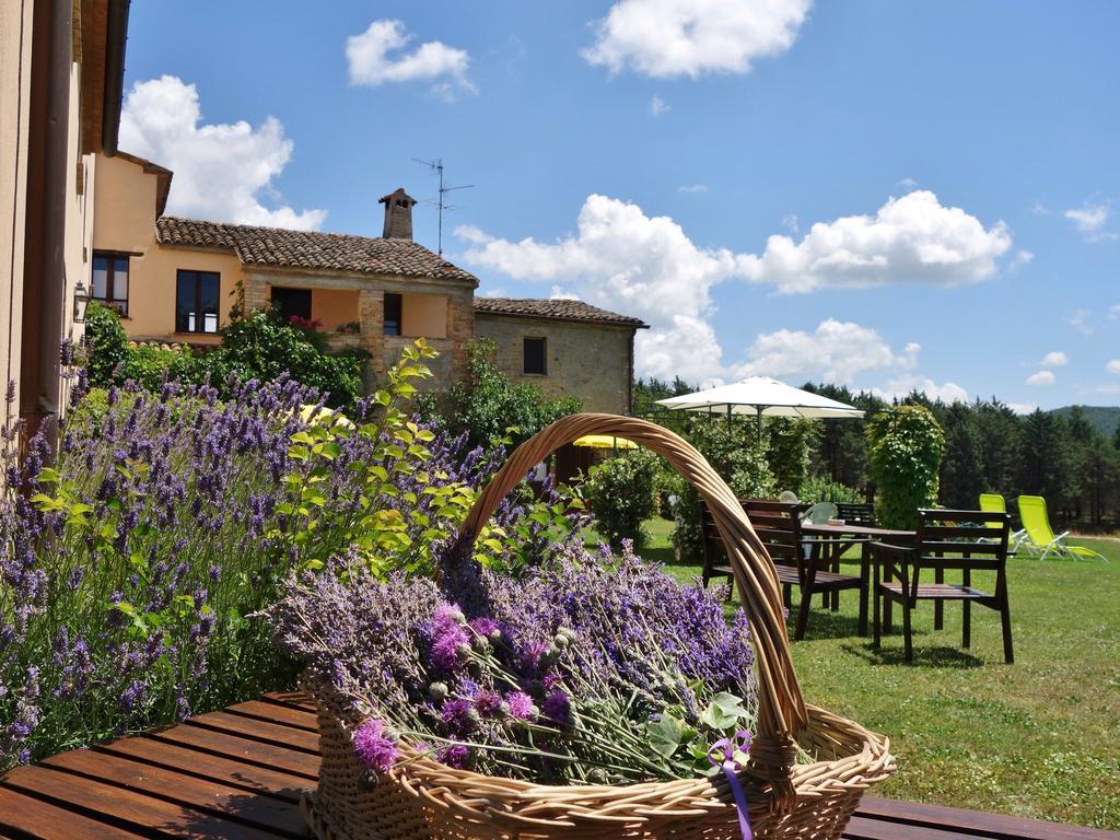 Agriturismo Monterosello ชิตตา ดิ กัสเตลโล ภายนอก รูปภาพ