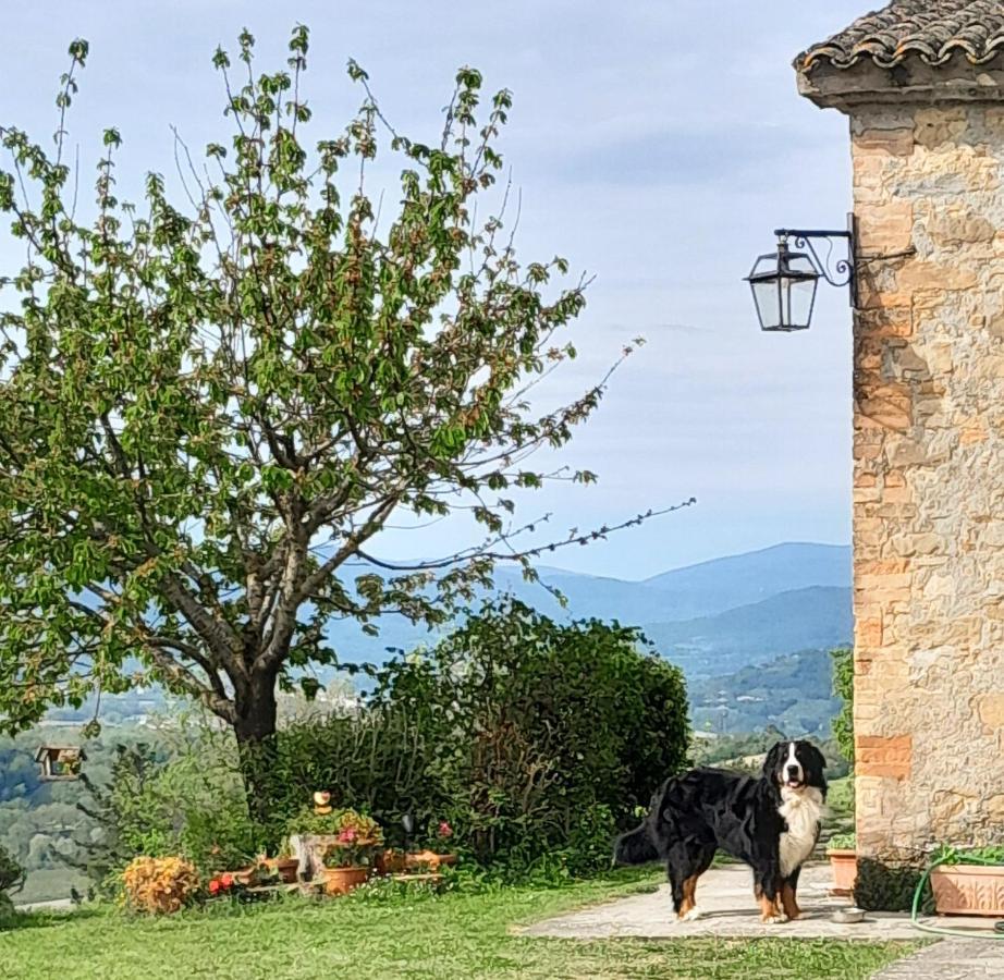 Agriturismo Monterosello ชิตตา ดิ กัสเตลโล ภายนอก รูปภาพ