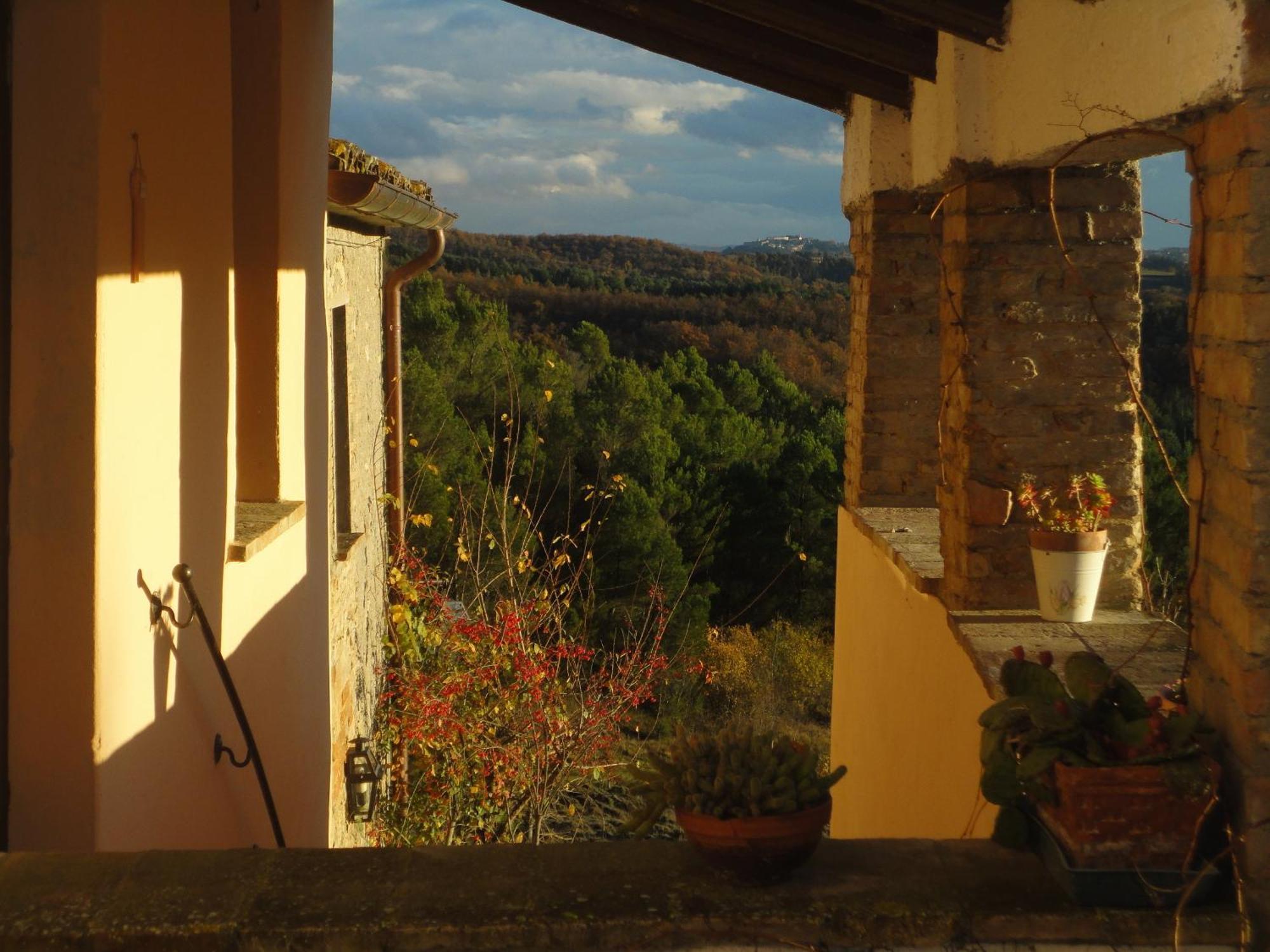 Agriturismo Monterosello ชิตตา ดิ กัสเตลโล ภายนอก รูปภาพ